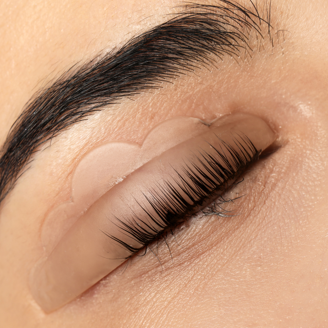 Wimpernverlängerung + Lash & Brow Lifting Schulung